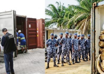 5 Jenis Muatan Peti Kemas