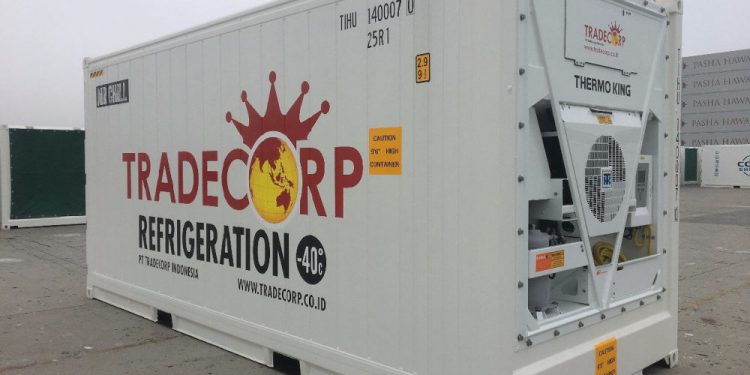 Informasi Reefer Container dan Fungsinya