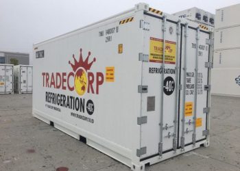 Refrigerated Container: Apa Saja Barang Yang Bisa Disimpan?