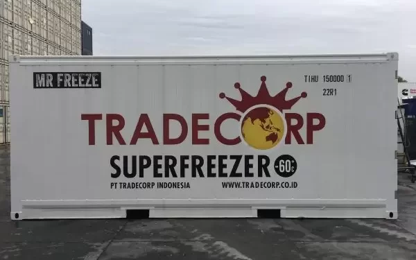 20 Feet Refrigerated Super Freezer Container