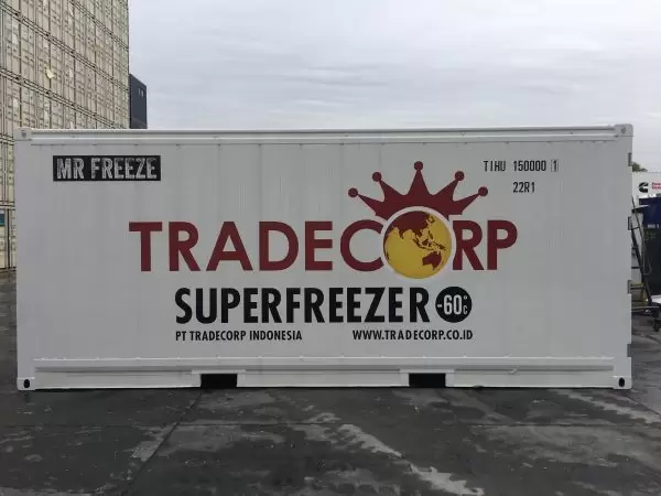 20 Feet Refrigerated Super Freezer Container