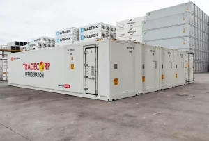 Jual dan sewa container cold storage 