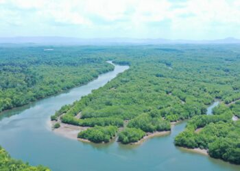 7 Bisnis di Kalimantan Timur yang Menjanjikan Pakai Container Modular