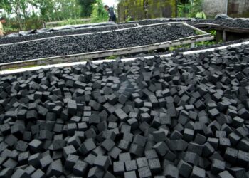 4 Cara Ekspor Arang Briket yang Wajib Dipahami Produsen!