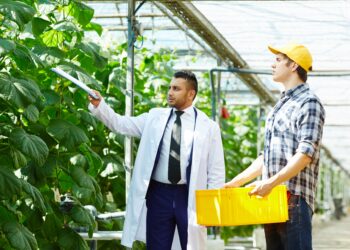 4 Cara Ekspor Hasil Pertanian Pahami Langkah Mudah Berikut!