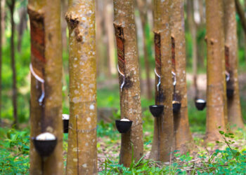 4 Cara Ekspor Karet di Indonesia & Peluang Bisnisnya