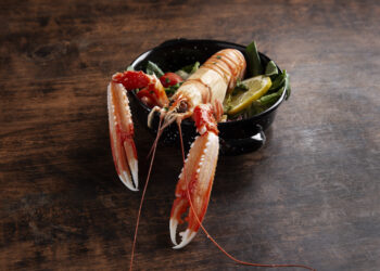 Cara Ekspor Lobster Air Tawar