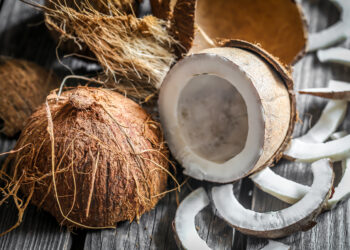 Cara Ekspor Kelapa ke Luar Negeri