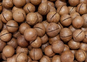 Cara Ekspor Kelapa ke Luar Negeri