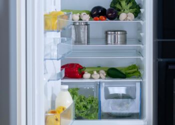 perbedaan chiller dan freezer