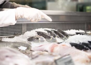 fungsi chest freezer