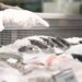 5 Fungsi Chest Freezer dan Keuntungannya 9 fungsi chest freezer