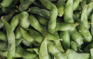 cara ekspor edamame