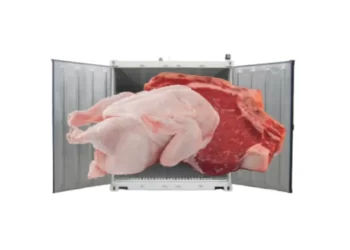 Gudang Ayam Beku Model Portabel yang Efisien & Menguntungkan