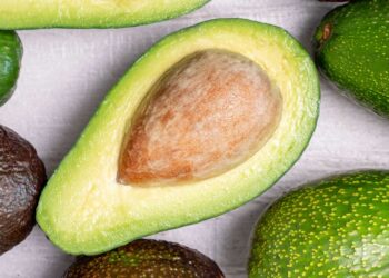 Ekspor Alpukat Menilik Potensi Cuan di Indonesia 