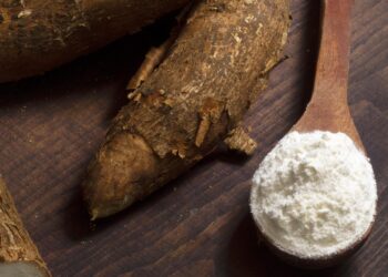 ekspor tepung tapioka