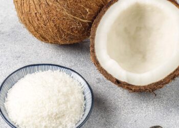 Cara Ekspor Gula Kelapa