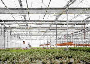 2 Jenis Gudang Penyimpanan Benih Serta Karakteristiknya