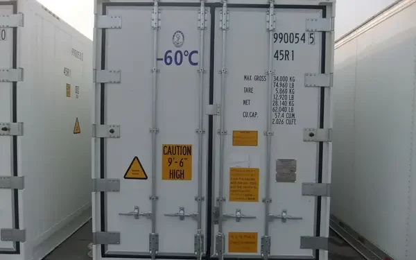 Sewa Container Freezer Baru Cold Storage