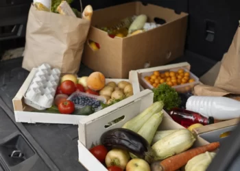 Cara Mengirim Makanan Ke Luar Kota ataupun Ke Luar Pulau