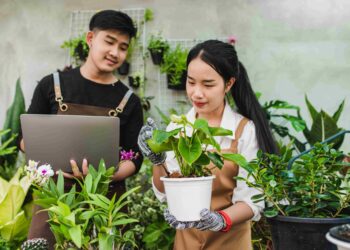 10 Bisnis Pertanian yang Menjanjikan