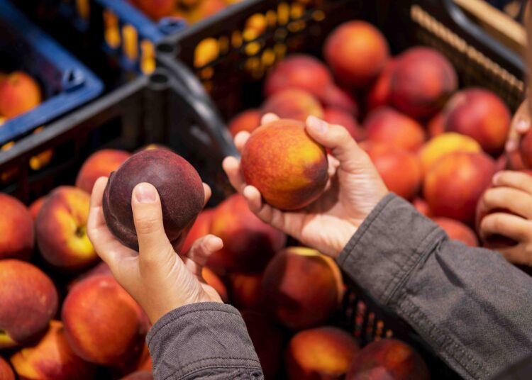 cara menyimpan buah agar tahan lama