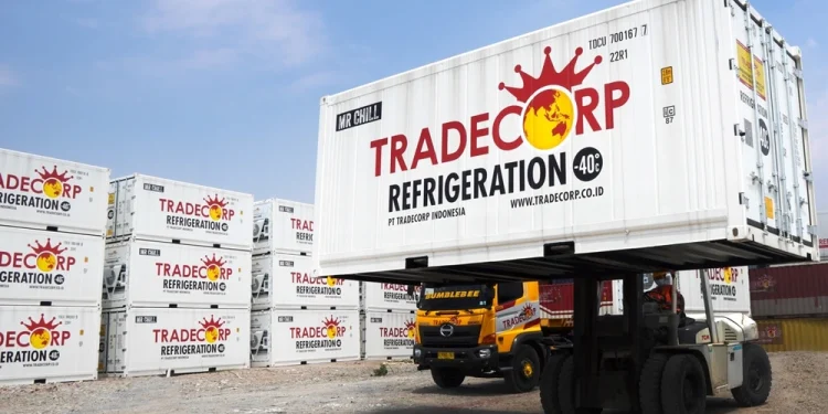 Container Reefer Bekas Ukuran 20 Feet dan 40 Feet