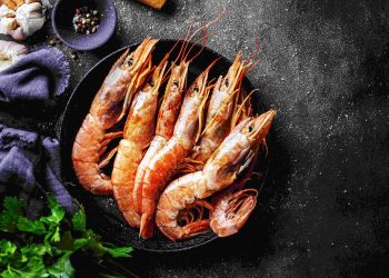 Cold Storage Udang, Solusi Optimalkan Rantai Pasok Udang