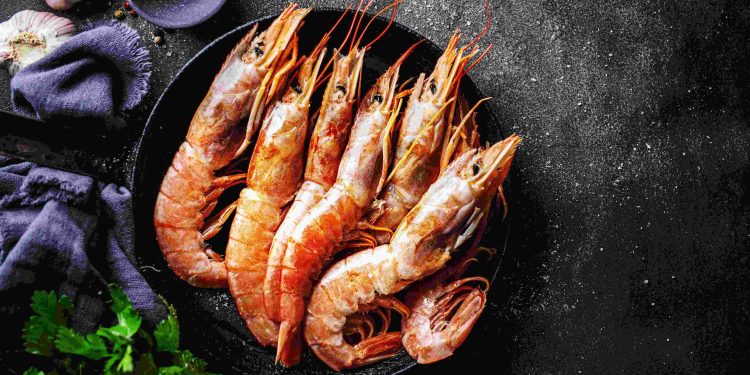 Cold Storage Udang, Solusi Optimalkan Rantai Pasok Udang