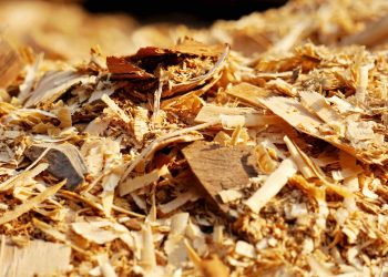 Ekspor Wood Chip Pakai Kontainer Apa 