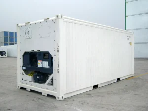 reefer container 20 ft, 20 ft reefer container, refrigerated container, 10 feet refrigerated container, kontainer berpendingin, container reefer 20 feet