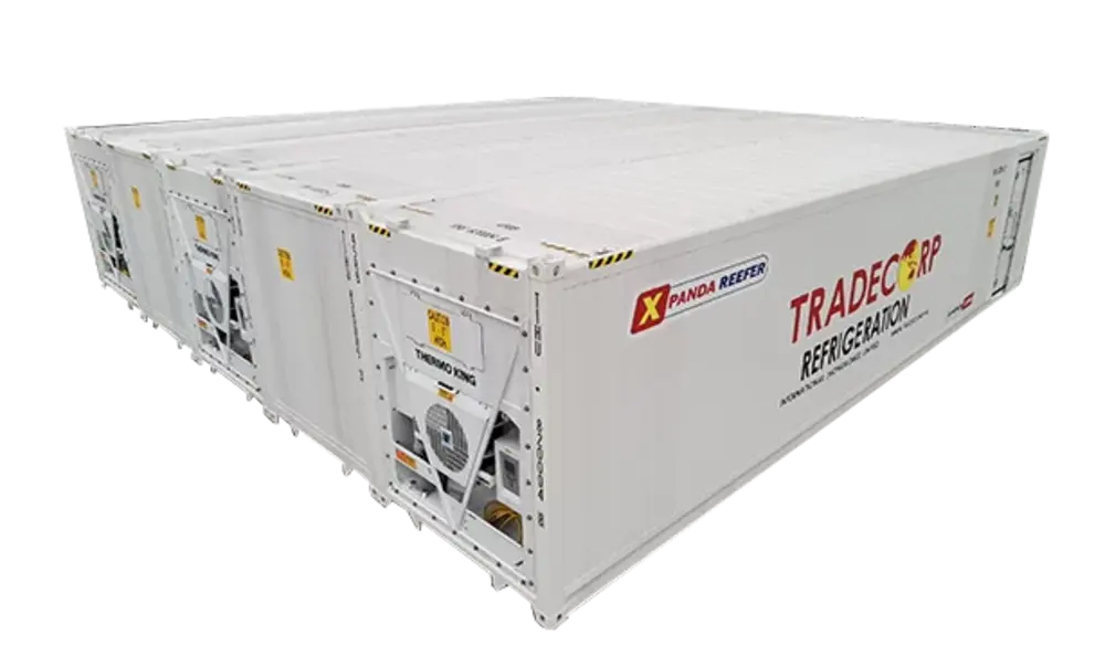 Sewa Gudang Pendingin dari Unit Refrigerated Container 3