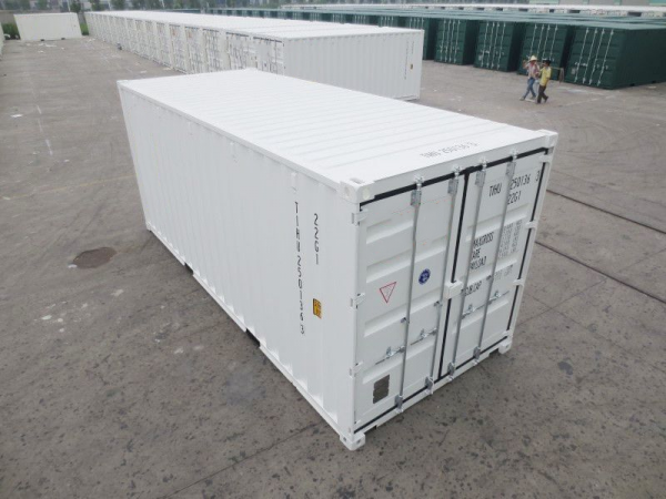 20’ General Purpose Shipping Container (White)