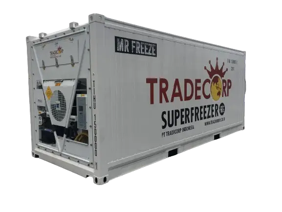 Blast Freezer Storage dari Reefer Container