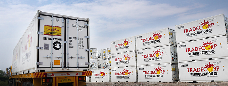 kapasitas pengiriman reefer container ukuran 20 feet baru dan bekas