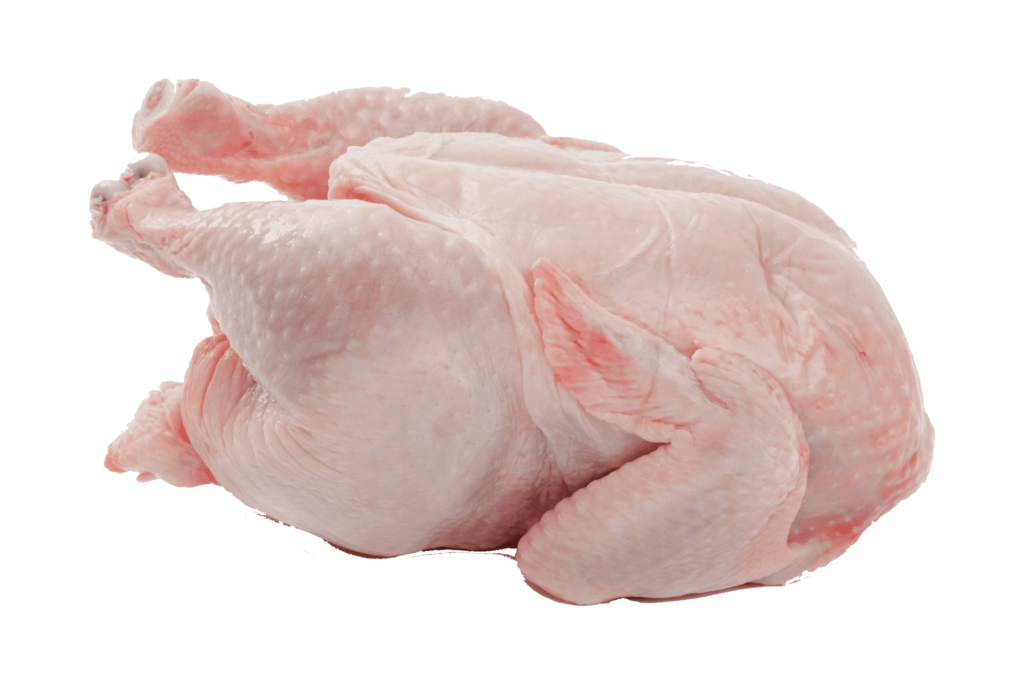 chicken meat cold storage