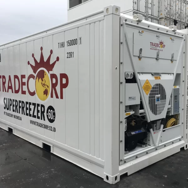 Rental 20 Feet Refrigerated Container